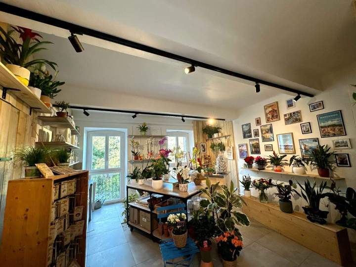 Systèmes d’éclairage à Draguignan